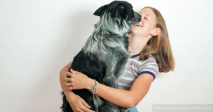 5-Ways-You-Can-Give-Back-to-Your-Local-Dog-Rescue-This-Holiday-Season-BLOG-IMAGES-5