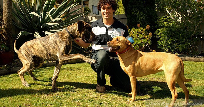 7-Life-Lessons-from-My-Beloved-Dog-Peanut-BLOG-IMAGE2