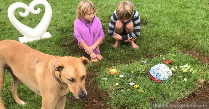 7-Life-Lessons-from-My-Beloved-Dog-Peanut-BLOG-IMAGE3