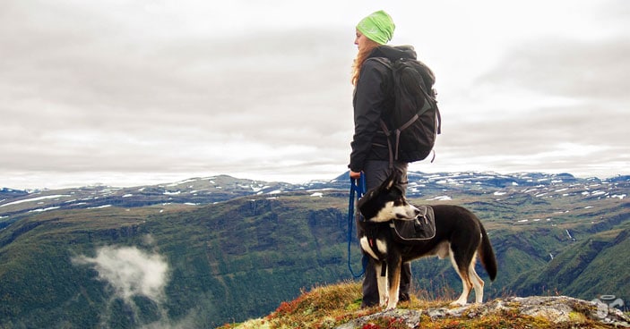 Are-You-REALLY-Ready-for-a-Christmas-Puppy-BLOG-IMAGES-4