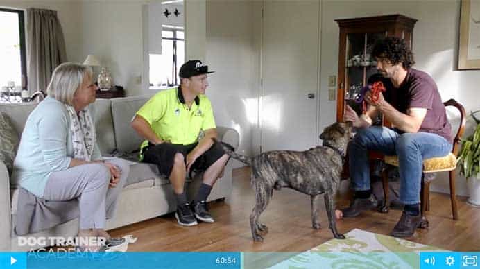 Transparency is always the policy with Doggy Dan