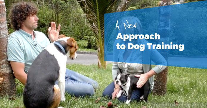 Doggy-Dan-A-New-Approcah-To-Dog-Training-HEADLINE