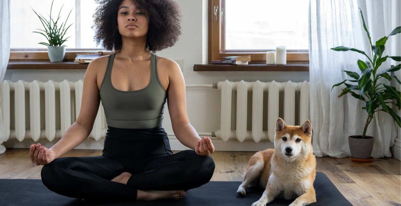 dog anxiety and stress