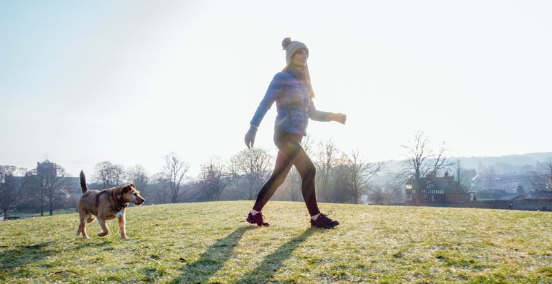 best exercises for dogs