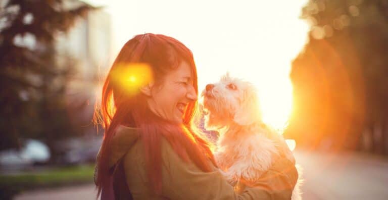 Dog Communication: 10 Surprising Ways Dogs Communicate cover