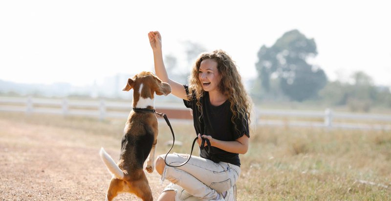 know dog communication