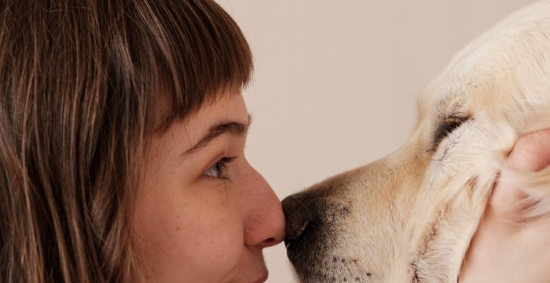 dog communication tips