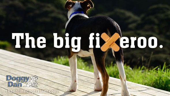 Doggy Dan says neuter your dog