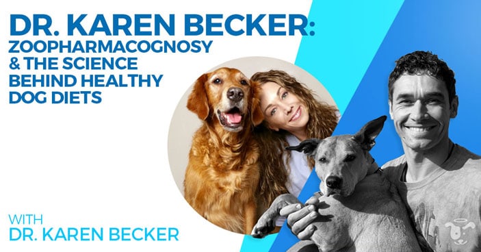Doggy-Dan-Podcast-Show-HEADLINE-Zoopharmacognosy-&-The-Science-Behind-Healthy-Dog-Diets