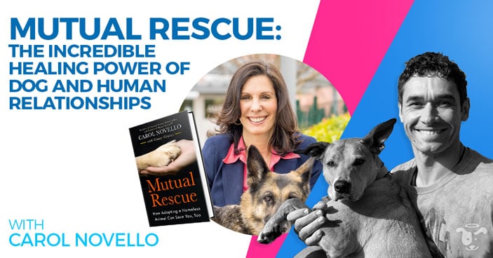 Doggy-Dan-Podcast-Show-NewDesign-FEATURED-MutualRescue-CarolNovello