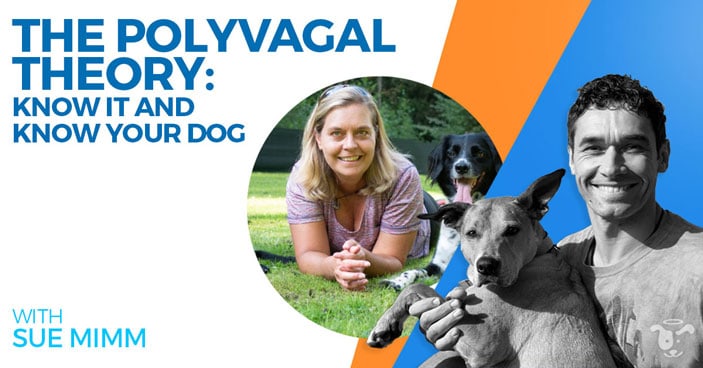 Doggy-Dan-Podcast-Show-NewDesign-FEATURED-PolyVagalTheory-Sue-Simm