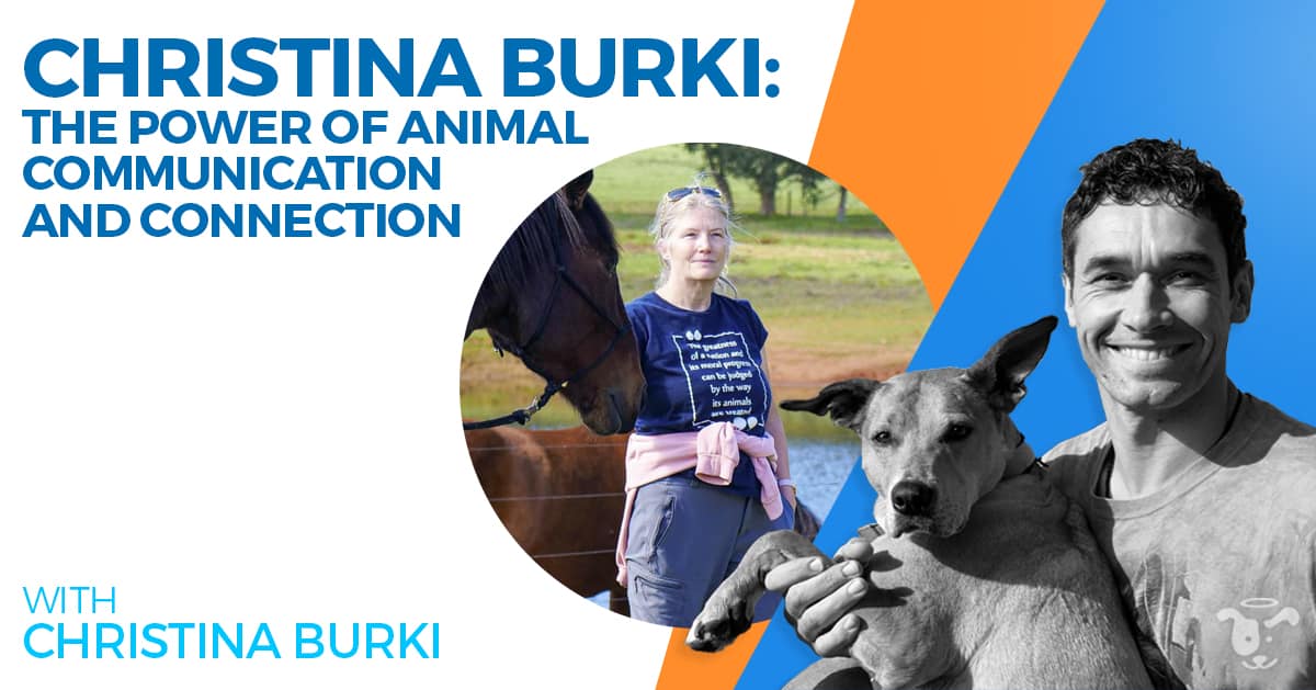 Doggy-Dan-Podcast-Show-NewDesign-FEATURED-The-Power-of-Animal-Communication-and-Connection