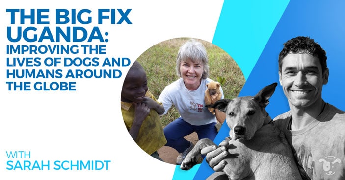 Doggy-Dan-Podcast-Show-NewDesign-FEATURED-TheBigFixUganda-SarahSchmidt