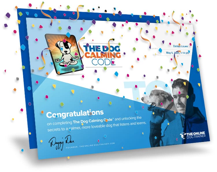 Doggy-Dan-Releases-New-State-of-the-Art-Membership-Website-BLOG-IMAGES-3