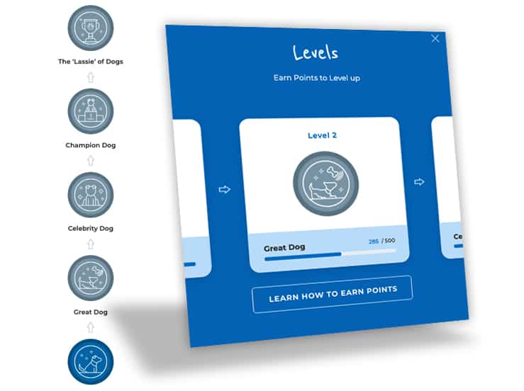 Doggy-Dan-Releases-New-State-of-the-Art-Membership-Website-BLOG-IMAGES-4