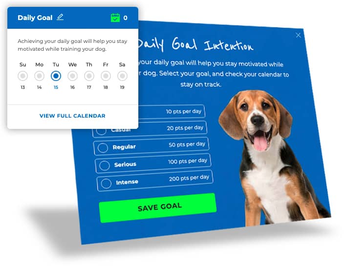 Doggy-Dan-Releases-New-State-of-the-Art-Membership-Website-BLOG-IMAGES-6