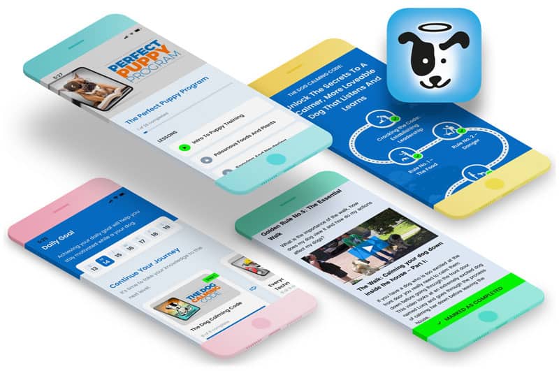 Doggy-Dan-Releases-New-State-of-the-Art-Membership-Website-BLOG-IMAGES-7