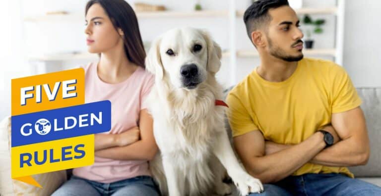 Doggy Dan Five Golden Rules: Rule #2 is Delaying Acknowledgement cover