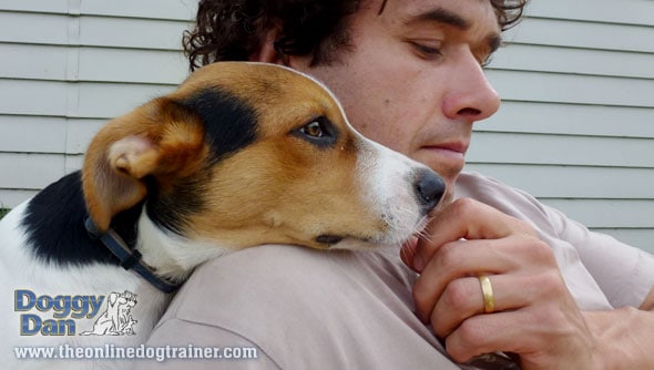 How to control your dog