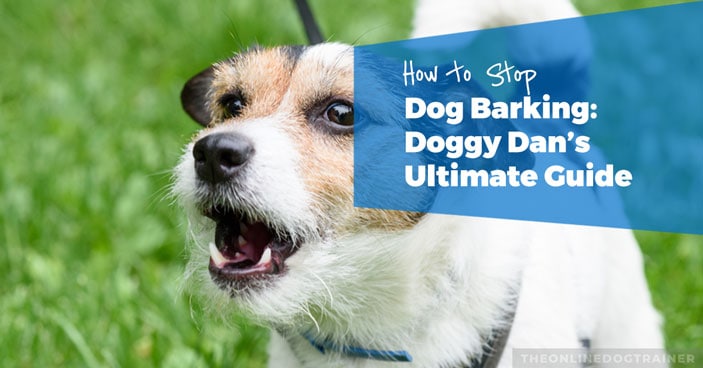 How-to-Stop-Dog-Barking-Doggy-Dans-Ultimate-Guide-HEADLINE