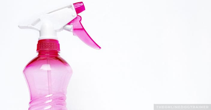 Jumping-Dogs-How-to-Keep-Your-Pup-from-Jumping-on-House-Guests-BLOG-IMAGES-6