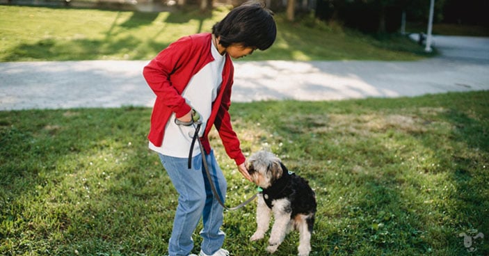 Positive-Reinforcement-Training-May-Fail-Your-Dog-BLOG-IMAGES-1