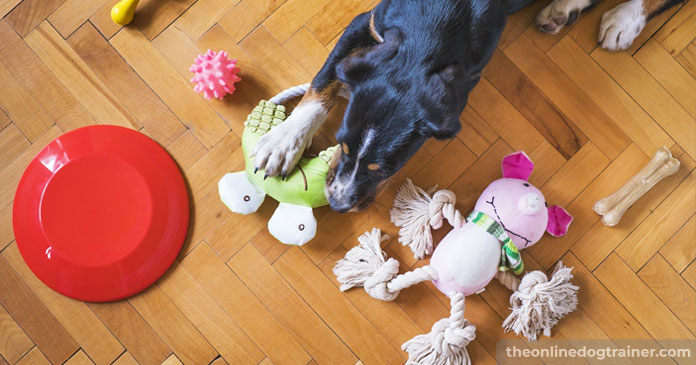 Rescue-Dog-Series-Part-1-5-Way-to-Help-Your-Dog-Overcome-Resource-Guarding-Behavioral-Issues-BLOG-IMAGES-1