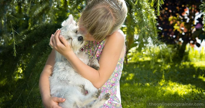 Rescue-Dog-Series-Part-3-5-Steps-to-Successfully-Acclimate-A-Rescue-Dog-Into-Your-Home-BLOG-IMAGES-5