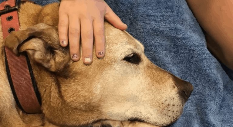 Screen Shot 2021-03-28 at 3.06.40 PM