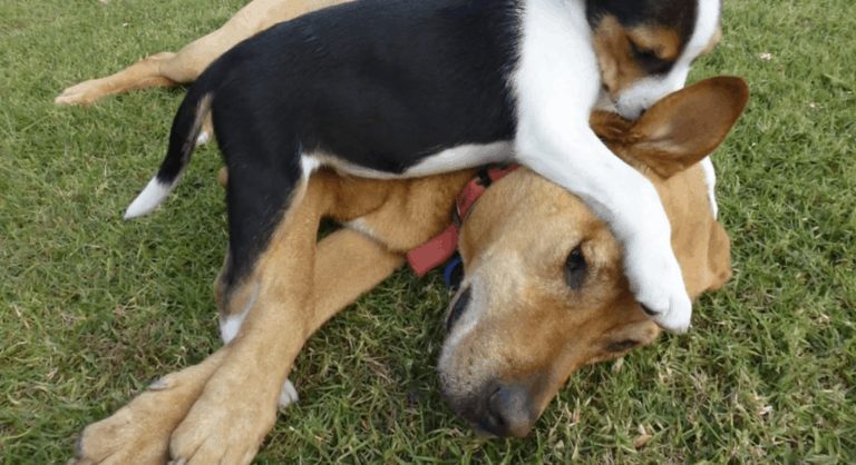 Screen Shot 2021-03-28 at 3.09.50 PM