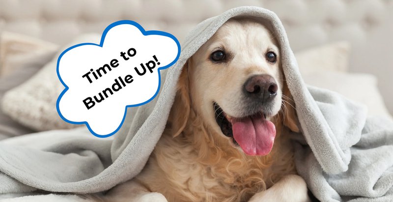 how to keep a dog warm at night