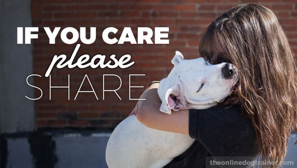 If you care, please share... thanks!