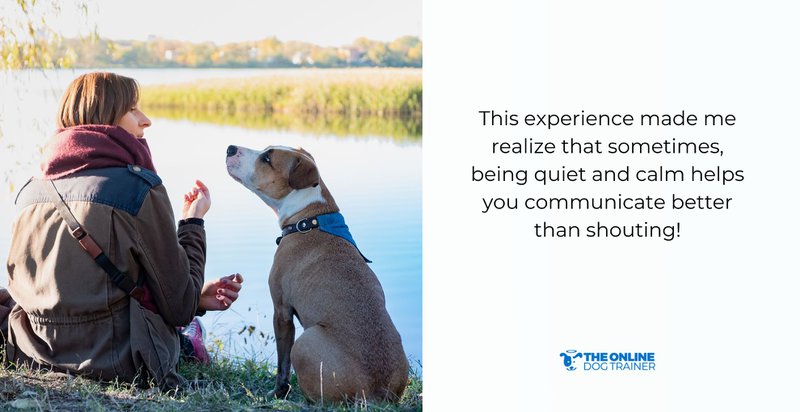 how to get dogs to listen to you