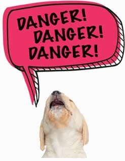speech-bark-bubble-Danger