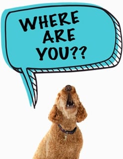 speech-bark-bubble-Where