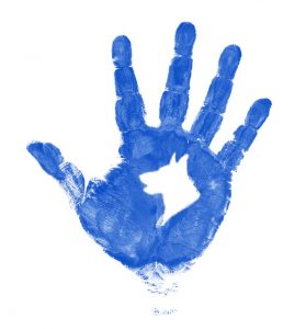 The five golden rules of dog training