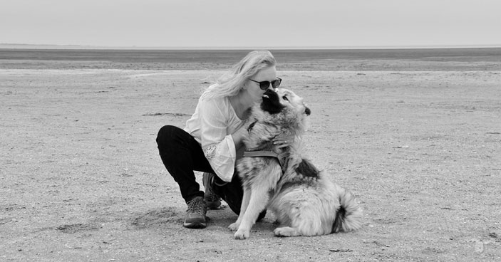 The-Scary-Reality-Behind-Forgoing-Dog-Training-BLOG-IMAGES-2