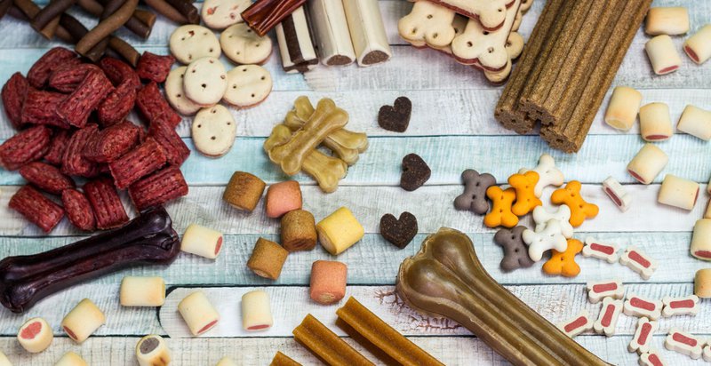 good food for dogs