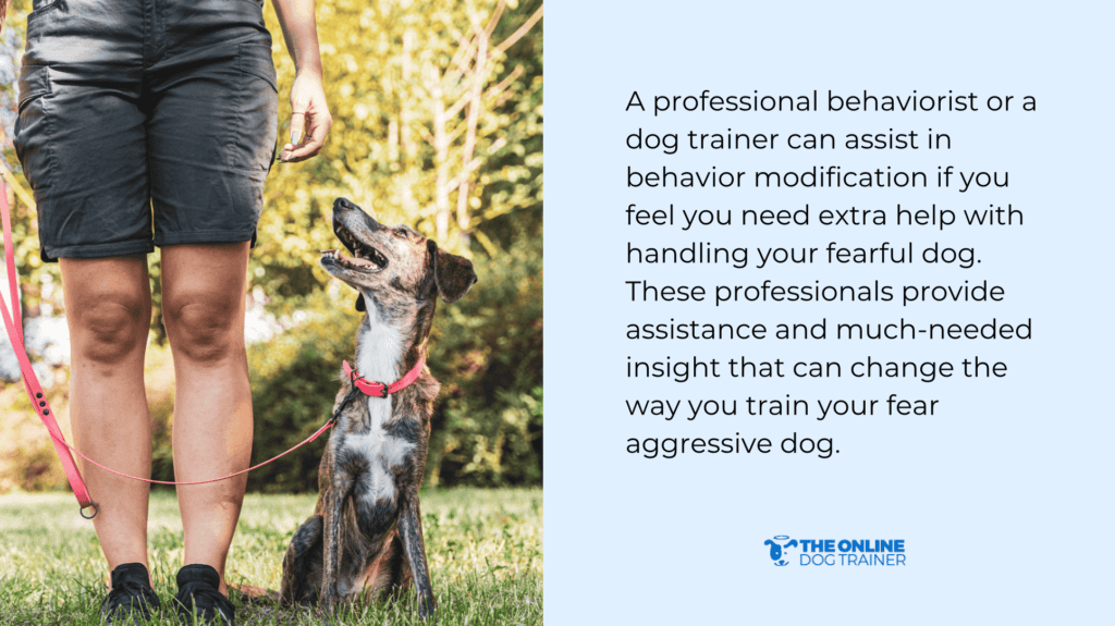 training aggressive dogs