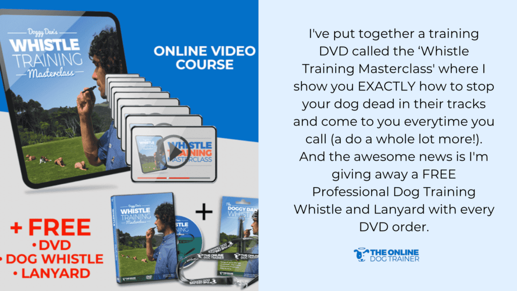 doggy dan whistle training