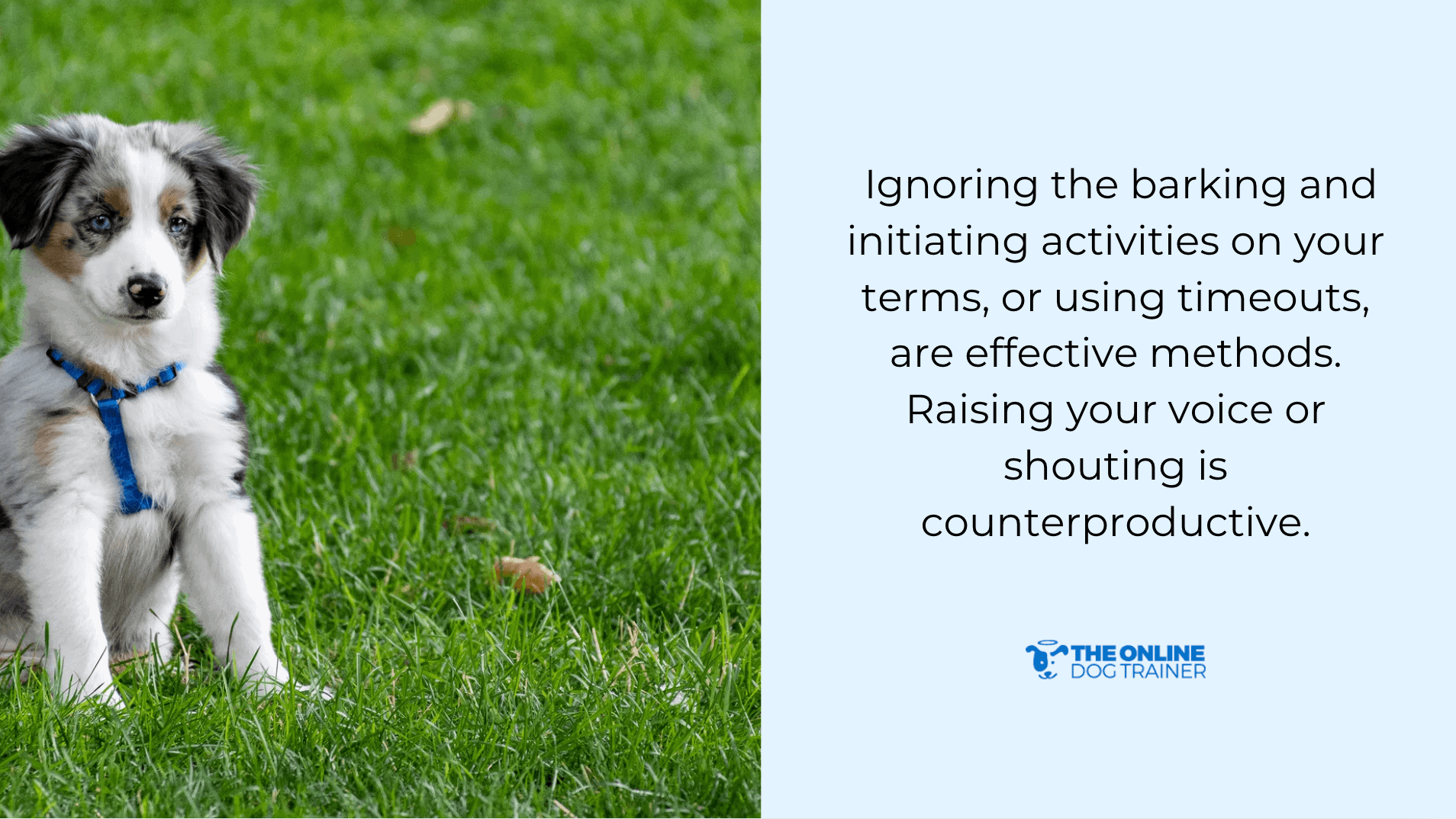 aggressive barking puppies