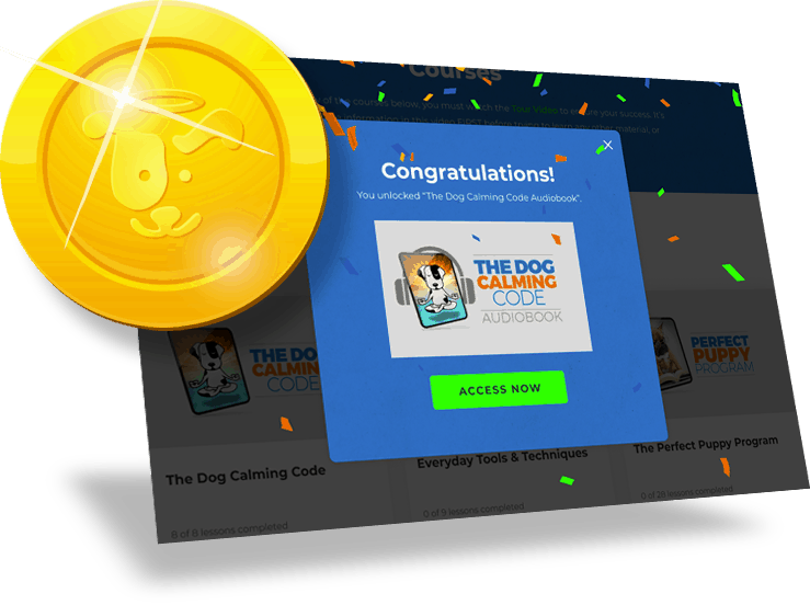 Doggy-Dan-Releases-New-State-of-the-Art-Membership-Website-BLOG-IMAGES-5