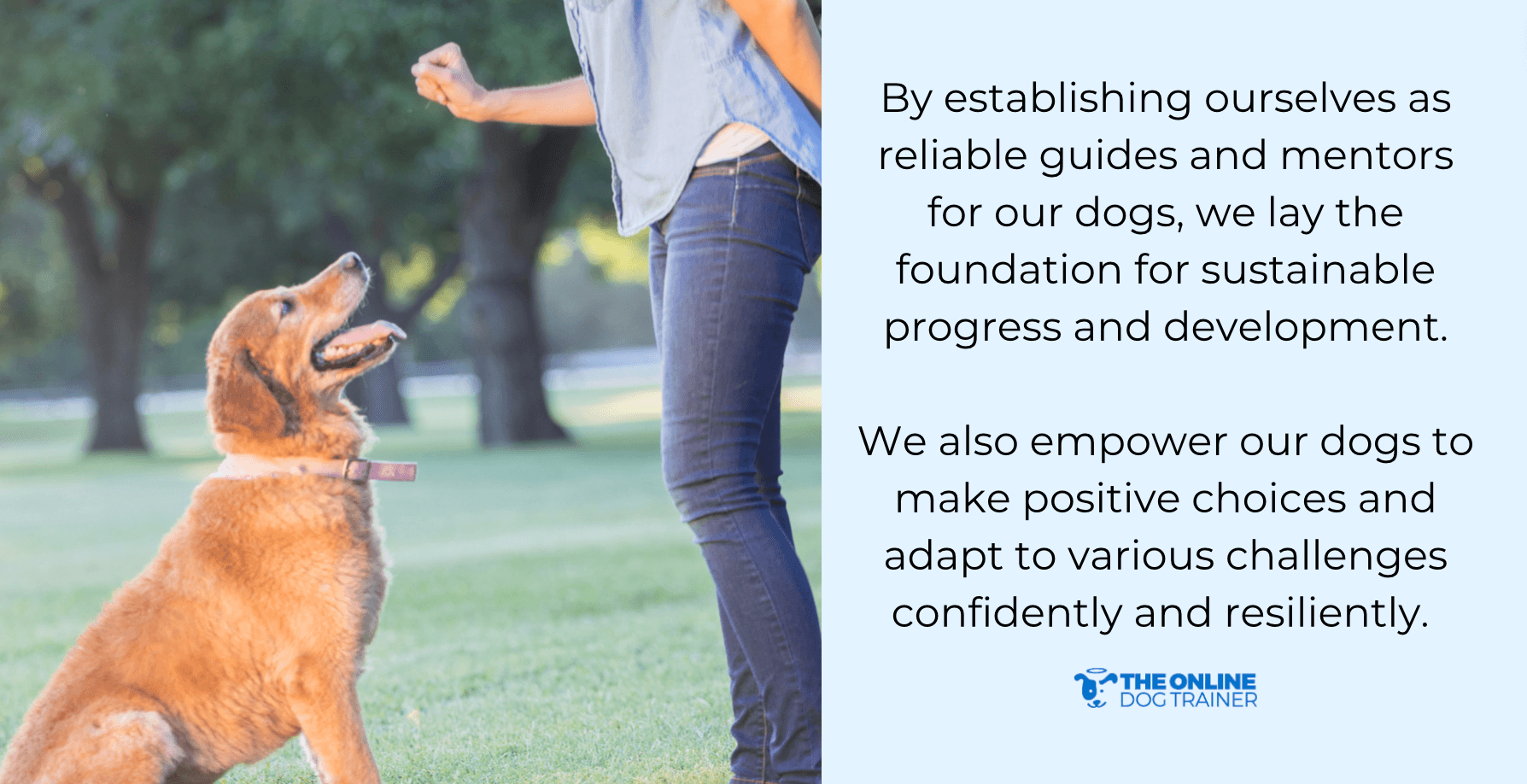 dominant dog leaders