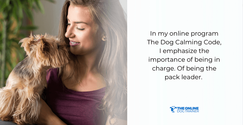 how to bond with a dog