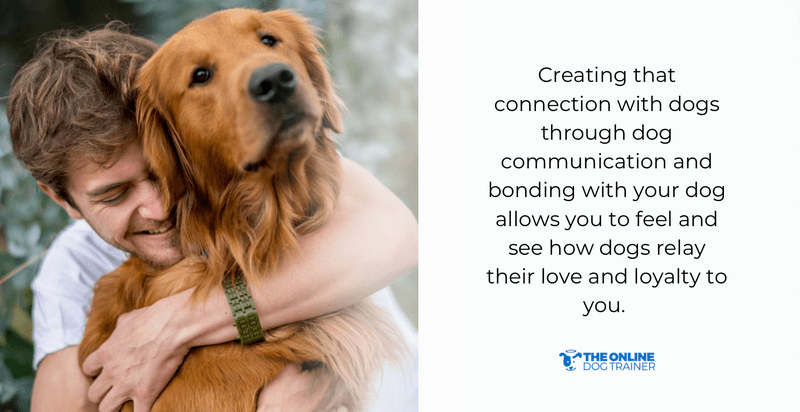 how to bond with your dog