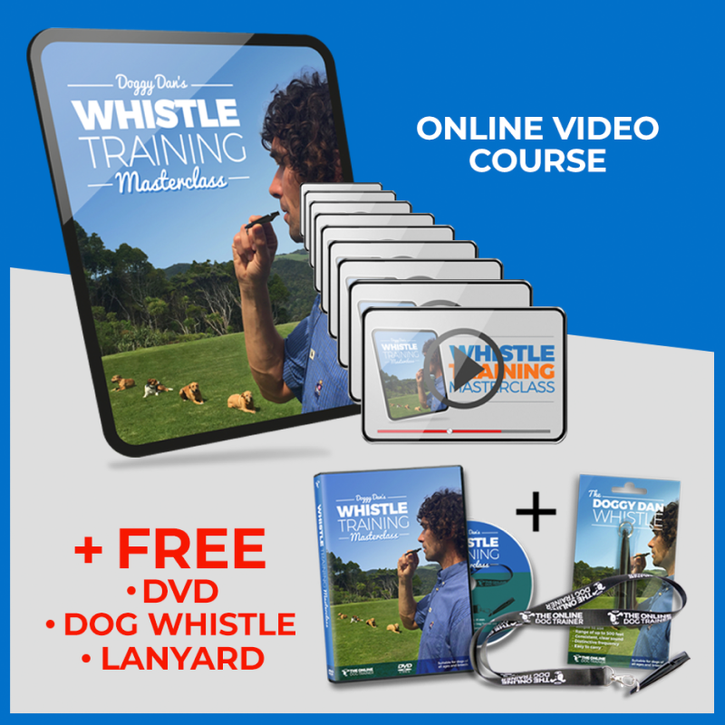Doggy Dan Whistle Training Masterclass Bundle