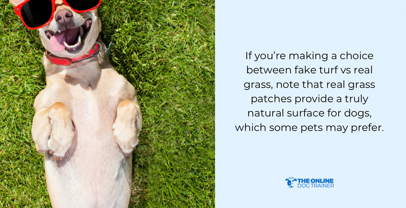 potty pads for potty breaks