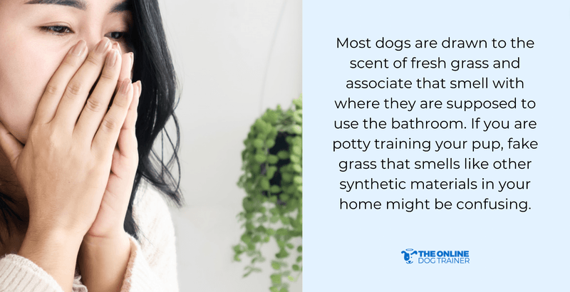 pee pad for puppy potty training