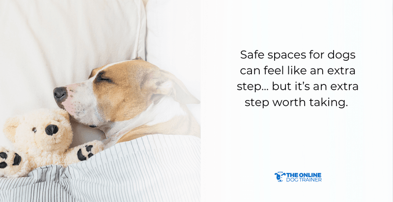 safe spaces for dogs