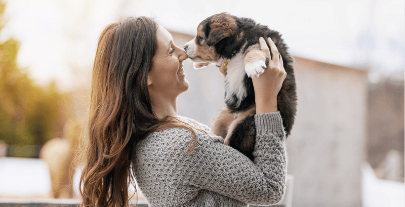 best age to adopt dogs